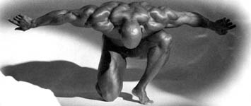 free bodybuilding workouts